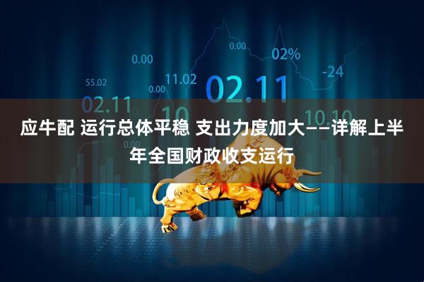 应牛配 运行总体平稳 支出力度加大——详解上半年全国财政收支运行